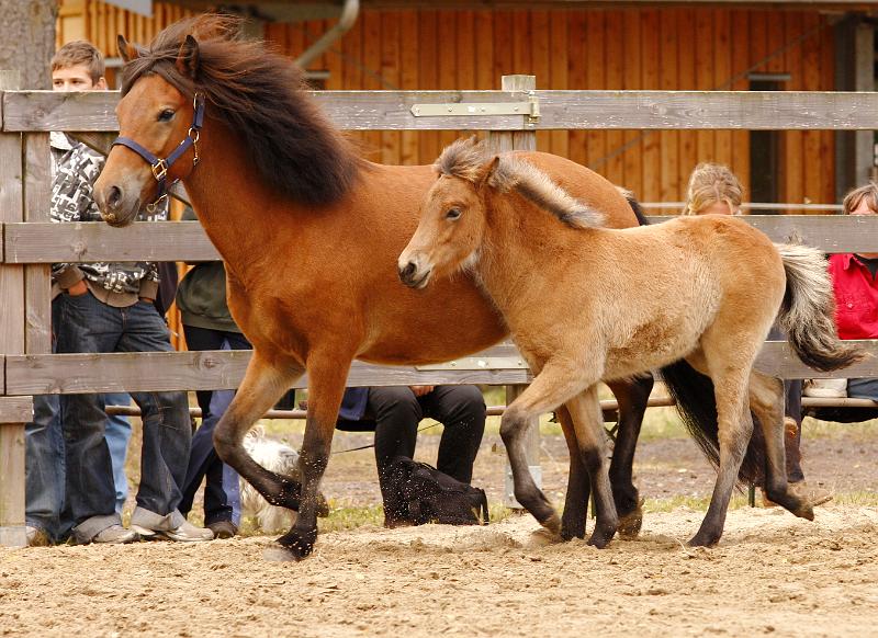 Gina von Heidmoor d.jpg